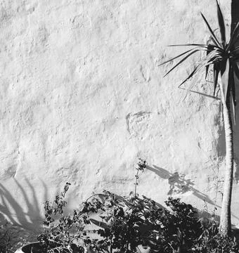 Grunge White Concrete Solid Old Weathered Texture Cement Grungy Background Foto stock