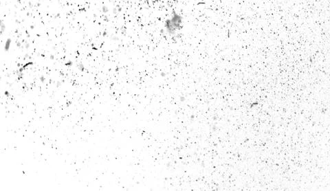 Grunge white scratch pattern. Monochrome particles abstract texture. Design e イラスト素材