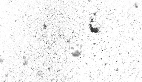 Grunge white scratch pattern. Monochrome particles abstract texture. Design e Stock Illustration