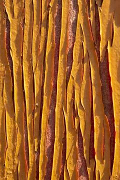 Grunge wood pattern texture Фото