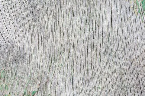 Grunge wood pattern texture Stock Photos