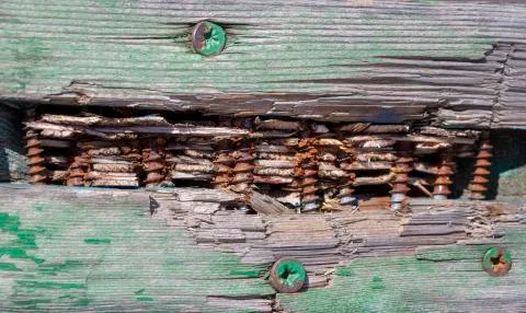 Grunge wood pattern texture Фото