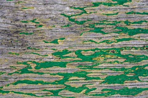 Grunge wood pattern texture Stock Photos