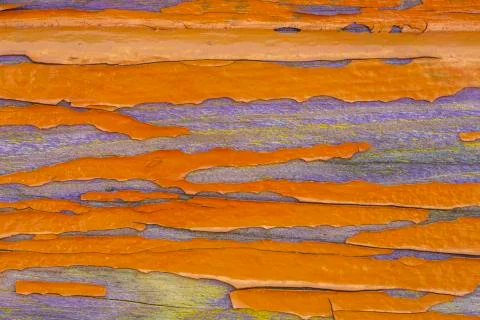 Grunge wood pattern texture Stockfoto's