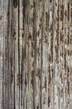 Grunge wood pattern texture Stock-Fotos
