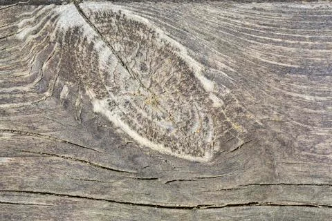 Grunge wood pattern texture Stock Photos