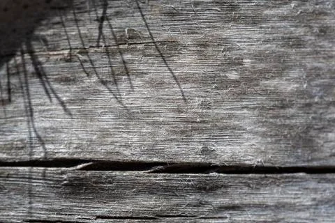 Grunge wood pattern texture Stock Photos