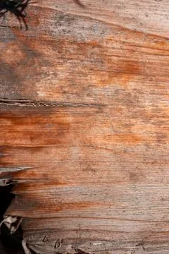 Grunge wood pattern texture Stock Photos