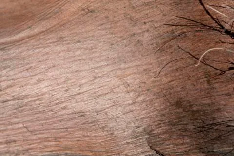 Grunge wood pattern texture 写真素材