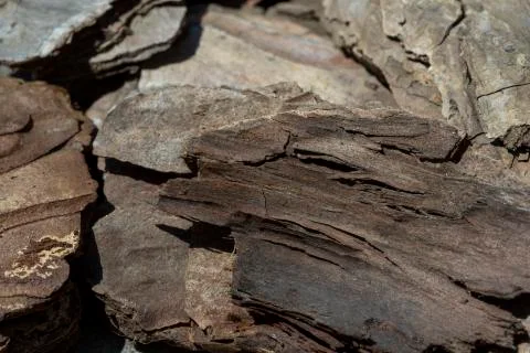 Grunge wood pattern texture Stock Photos