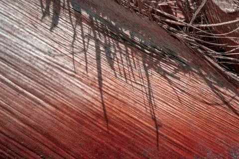 Grunge wood pattern texture 스톡 사진