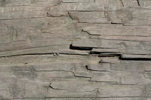 Grunge wood pattern texture 스톡 사진