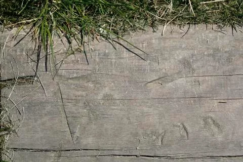 Grunge wood pattern texture Stock Photos