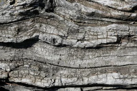 Grunge wood pattern texture Foto stock