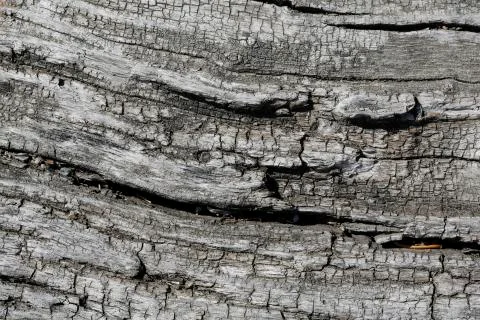 Grunge wood pattern texture Foto stock