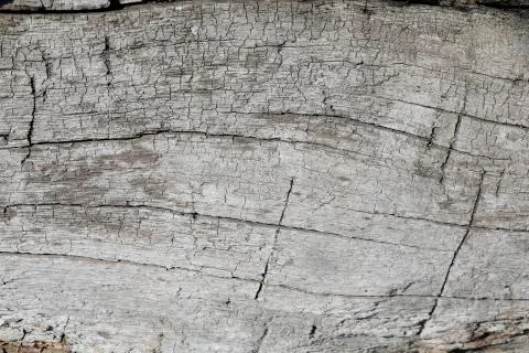 Grunge wood pattern texture Stock Photos