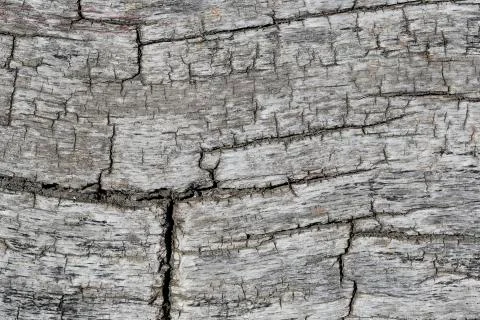 Grunge wood pattern texture Stock Photos