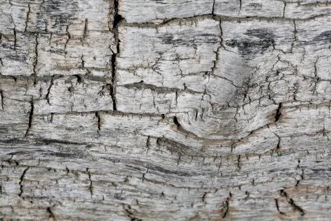 Grunge wood pattern texture 写真素材