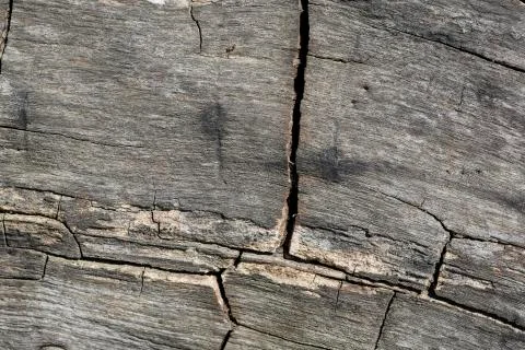Grunge wood pattern texture Stockfoto's