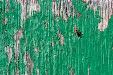 Grunge wood pattern texture Foto stock