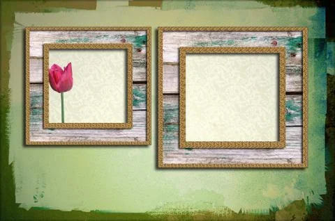 Grunge wooden frames with tulip Stock Illustration