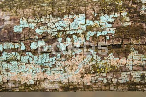 Grunge wooden texture Stock Photos