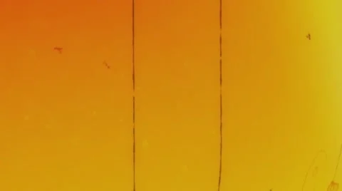 GrungeLeaks Stock Footage 65315532