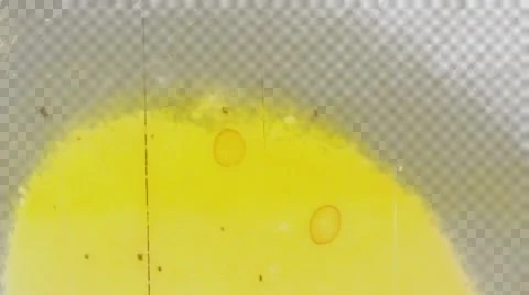 GrungeLeaks Stock Footage 65315652