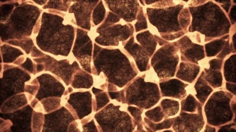 Grungy caustic texture background animation Stock Footage Stock Footage 72746712