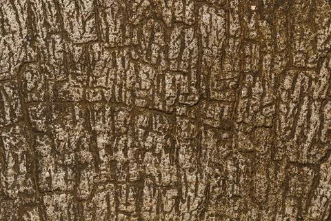 Grungy floor for pattern and background Stock Photos