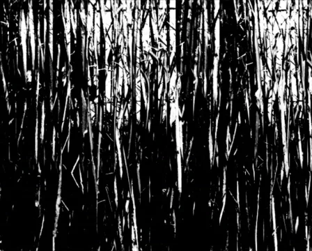Grungy-Grass-loop Stock Footage