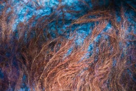 Grungy grass Foto stock