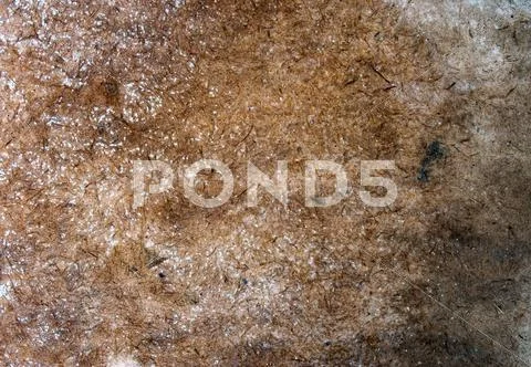 Grungy stained paint plywood Stock Illustration
