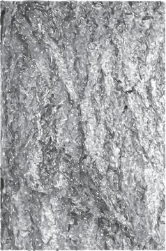 Grungy tree bark vector Stock Photos