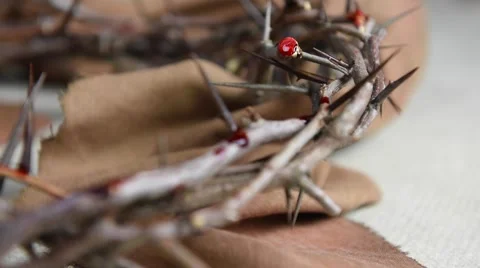 GSM 1192 Crown of Thorns and Nails.mp4 Stock Footage 48947408