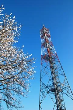 Gsm tower 库存照片