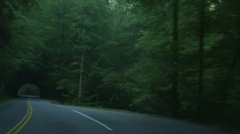 GSMNP Driving 1 Stock Footage 722082