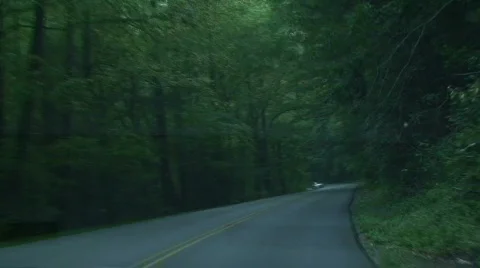GSMNP Driving 2 Stock Footage 722117