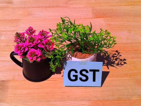 Gst concept  Stock-Fotos