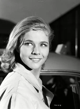 GTV ARCHIVE Stock Photos