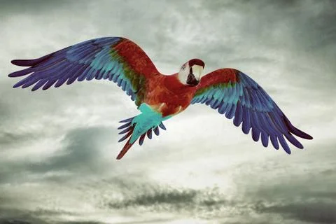 Guacamaya flying in the sky Stockillustratie