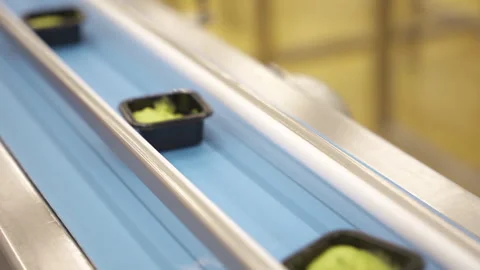 Guacamole Cups Moving Down Blue Conveyor at Avo HPP Facility Stock Footage 346738998