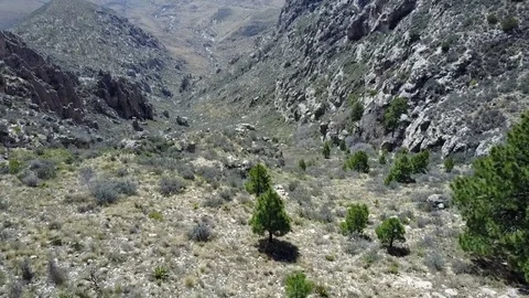 Guadalupe Mountains 6 Stock Footage 81184534