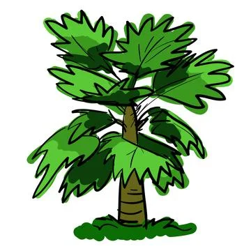 Guadalupe-Palm-Tree-vector-isolated-on-white-background Stock Illustration