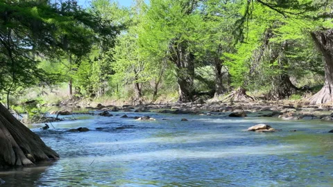 Guadalupe River State Park Texas Creek Stock Video Pond5