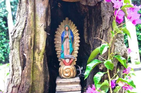 Guadalupe Virgin Stockfoto's