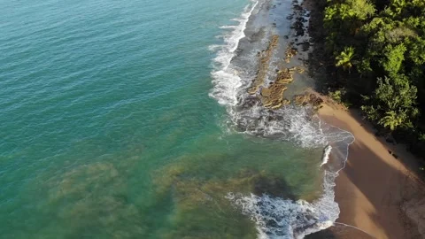 Guadeloupe Clugny beach Stock Footage 255222960