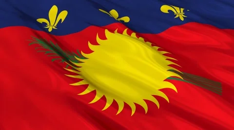 Guadeloupe flag Seamless Vídeo Stock 49087230