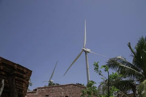 Guajirú Ceará 库存照片