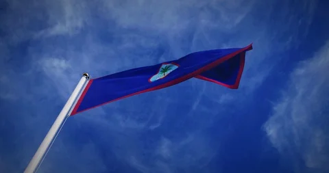 Guam flag flying in the wind on flagpole - 3d video animation Stock Footage 128755902